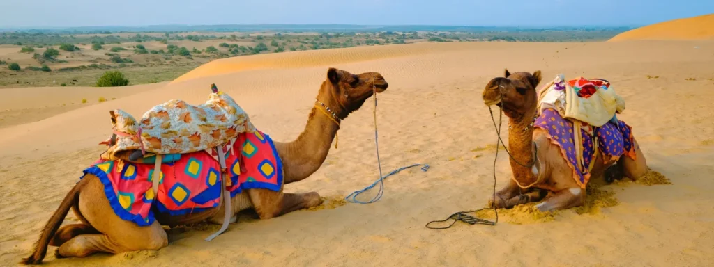 How to Plan Rajasthan Trip