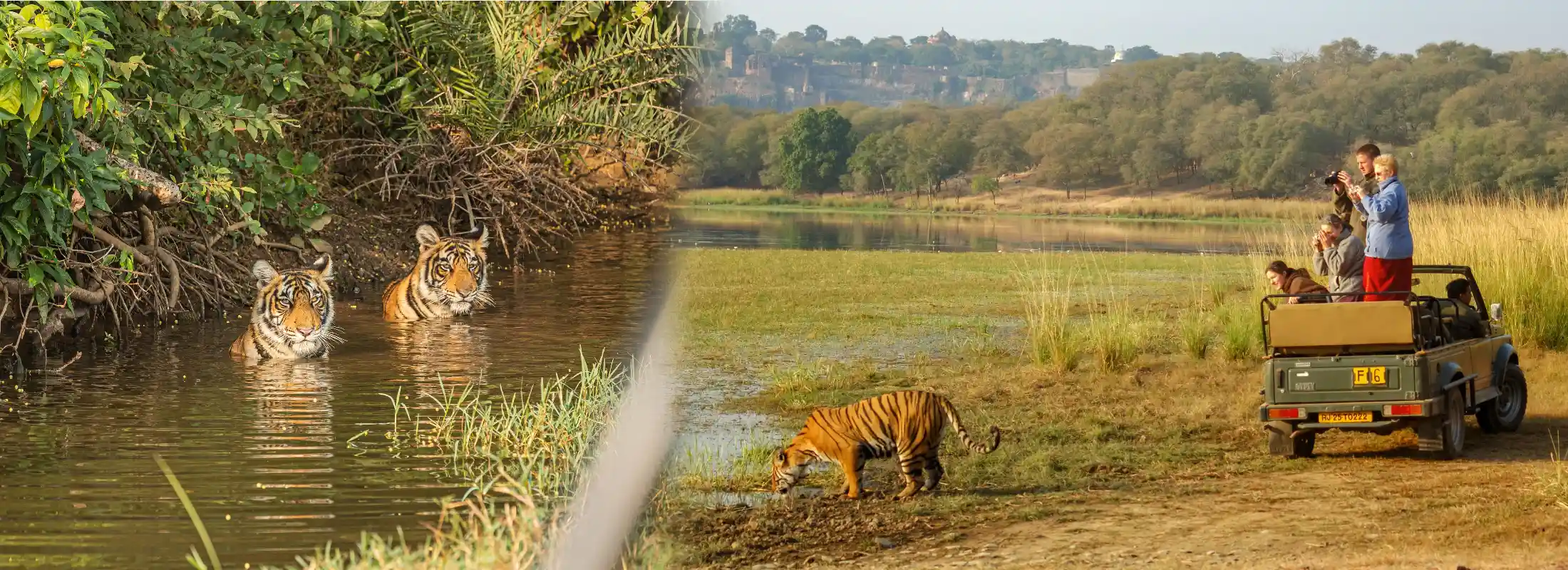 Jaipur Ranthambore Same Day Tour