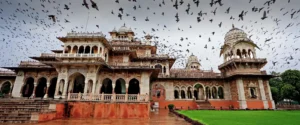 Jaipur Ranthambore Tour Package
